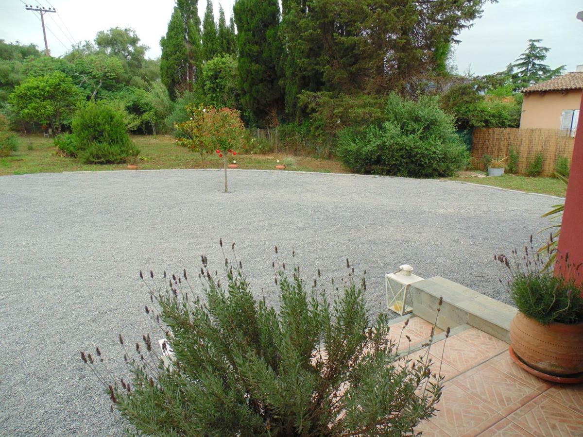 Villa Birdsing Dassia (Corfu)